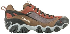 Mens Firebrand Ii Low Waterproof